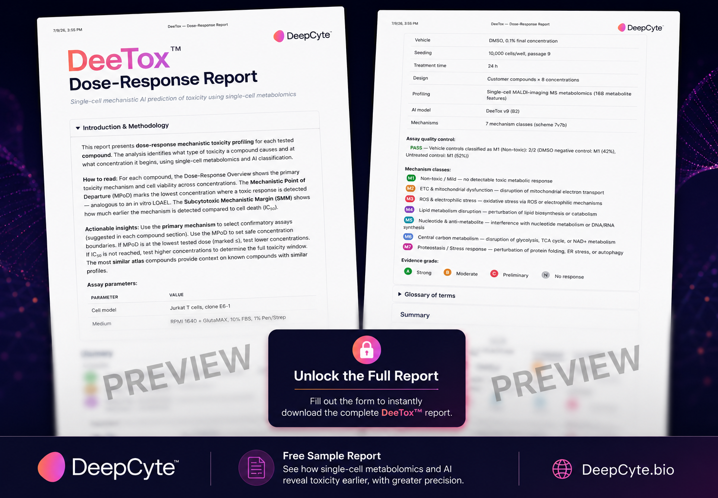 Preview of the DeeTox toxicity and mechanistic insight report